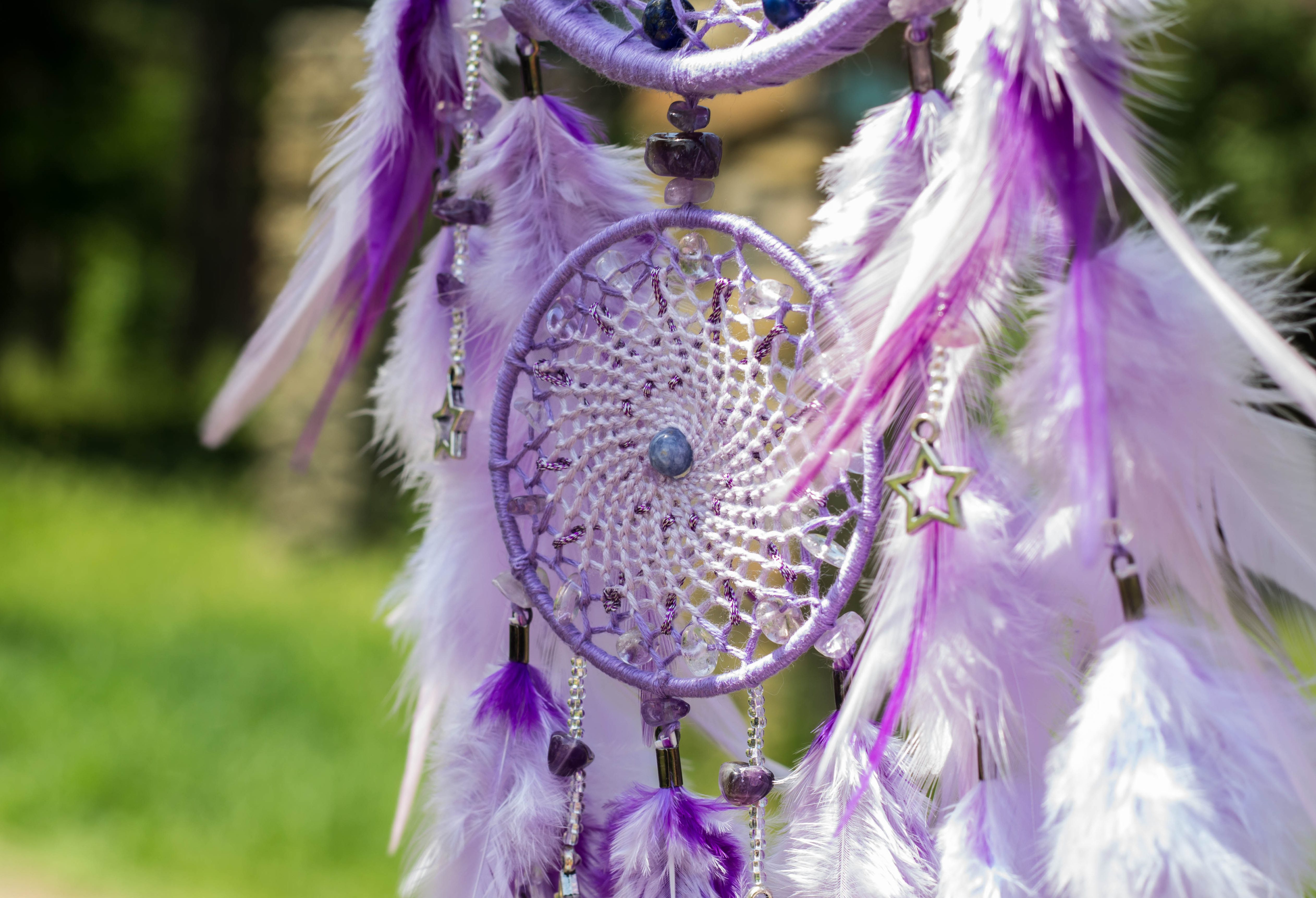 Društvo Gaia Galactica